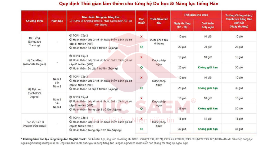 Du học Hàn Quốc: Muốn đi làm nhanh nên đi hệ nào?